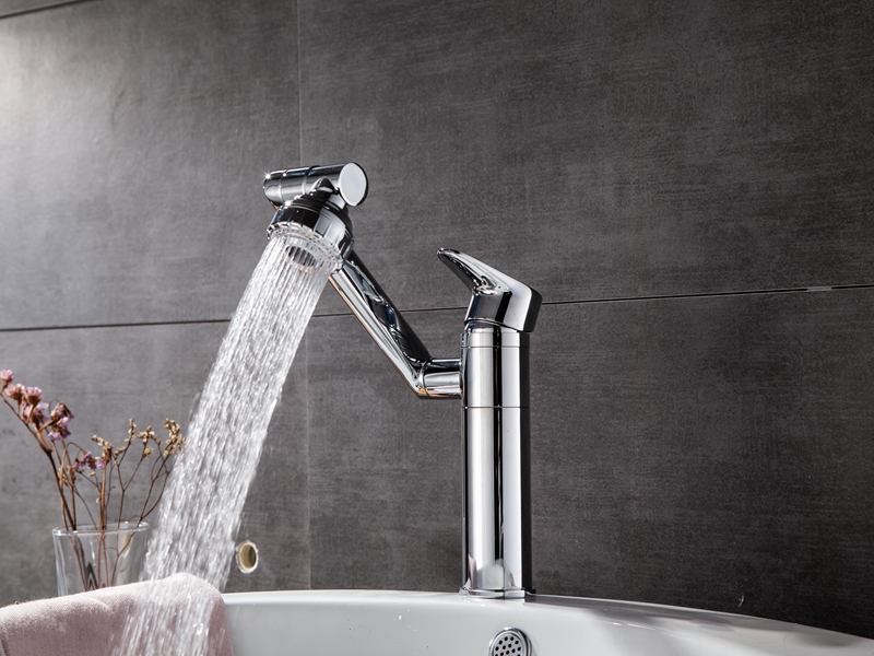 Two Function Spray Basin Faucet 
