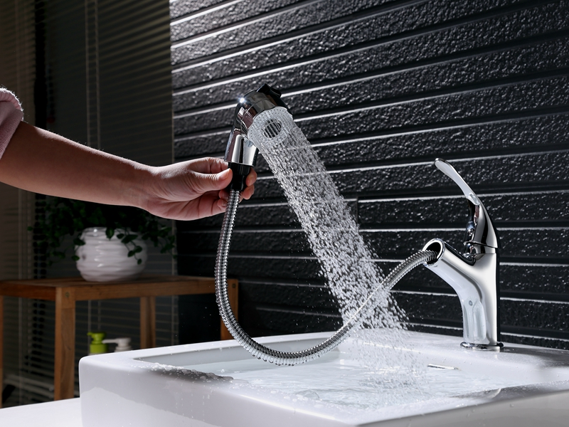 Two Function Pull Out Spray Basin Faucet 